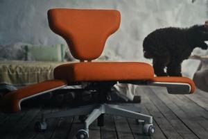 Freedom-X Multi-position Chair for Work & Play