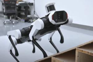 Lenovo Daystar Bot GS Hexapod Robot