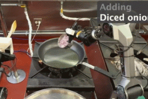 Zippy Michelin-quality Robotic Chef Learns from a Single Demonstration