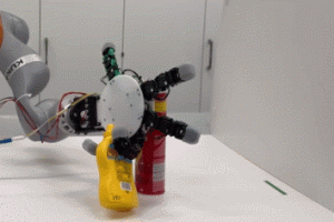 Detachable Reversible Crawling Robotic Hand