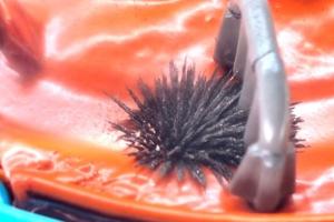 Ferro Pets: Magnetic Toy Pet That You Can Feed