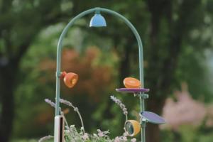 Petal Smart 4K 12MP Camera for Nature & Plants