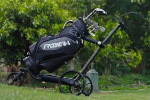 Robera Neo AI 3D Vision Golf Cart with GPS