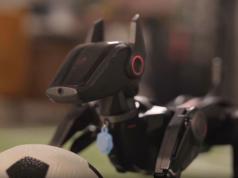 Hengbot Sirius: 14 DOF Multimodal AI Powered Agile Robot Dog