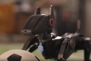 Hengbot Sirius: 14 DOF Multimodal AI Powered Agile Robot Dog