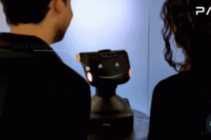 PAL Robotics TIAGo Head: LLM Integrated Robotic Face