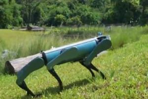 Hexplorer from Dobot: 6-Legged Bionic Robot for Rugged Terrains