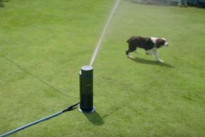 Aiper IrriSense App Connected Irrigation System Mimics Natural Rain