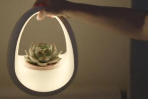 Planto Water Powered App Connected Lamp Requires No Batteries