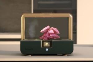 Sproushi: Grow Your Own Mushroom with AI