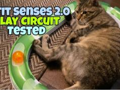 Catit Senses 2.0 Play Circuit Cat Toy Tested