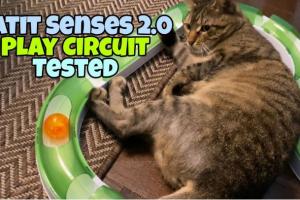 Catit Senses 2.0 Play Circuit Cat Toy Tested