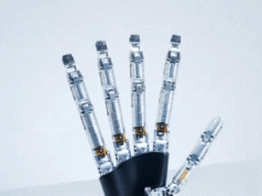 Wuji 1:1 Human Size Robot Hand with 20KG Grip Capacity