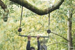 BGR: Portable Gym with Gymnastic Rings, Grips, Bars