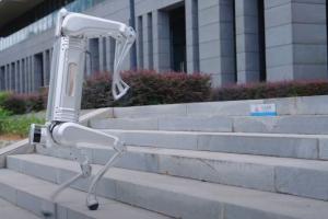 MagicDog Y1 6m/s Off-Road Robot Dog