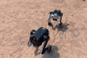 Direct Drive Tech D1 Bipedal Robots Combine to Transform Into a Robot Dog