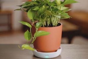Suello Smart Temperature, Water, Light Sensing Planter with App