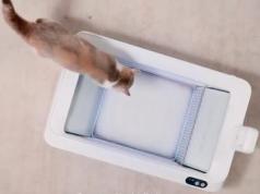 PETKIT Purobot Crystal Duo: Smart Litter Box with AI Camera