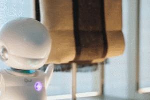 OUROBOT ChatGPT Companion Robot