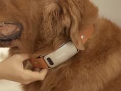 Mibuddy: OpenAI Whisper + LLM Dog Translation Collar Turns Woofs Into Words