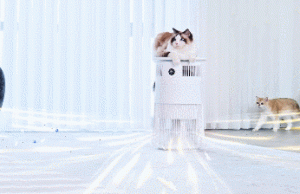 Airdog P50 Washable Pet Air Purifier for Odors, Allergens, Germs